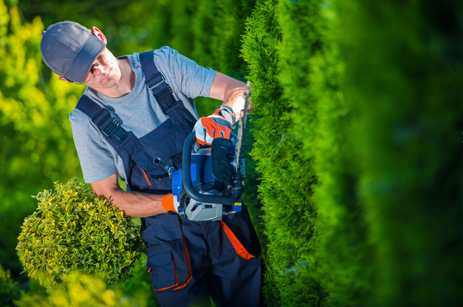 empresa de jardinería en Ourense, empresa de jardinería en Ourense,