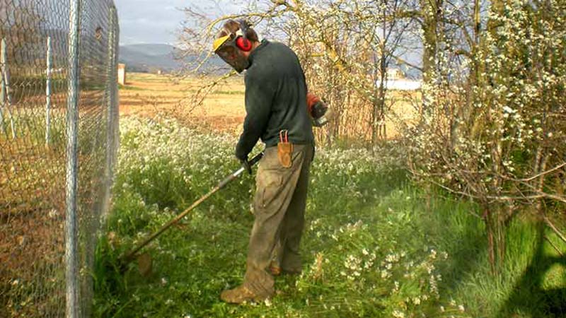 limpieza de fincas ourense limpieza de fincas ourense